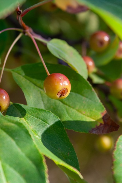 在自由式滑 在自由式滑
