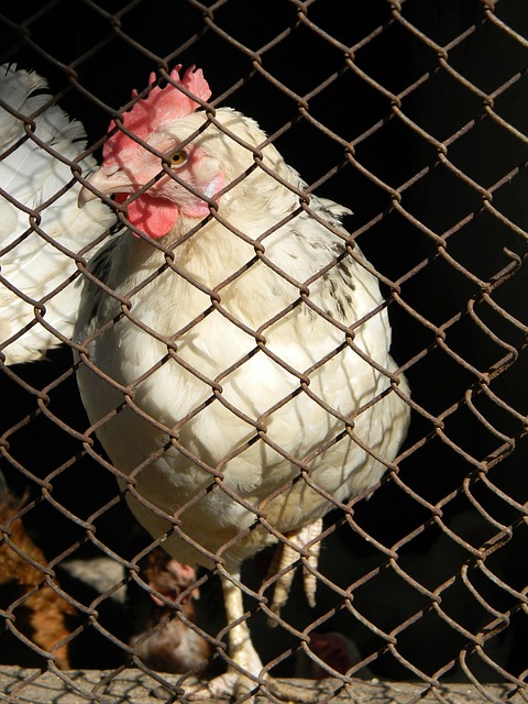 不管是进攻 不管是进攻