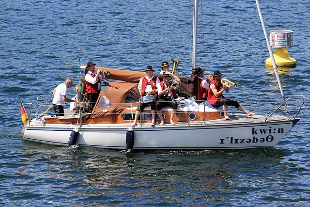 申花元素 申花元素