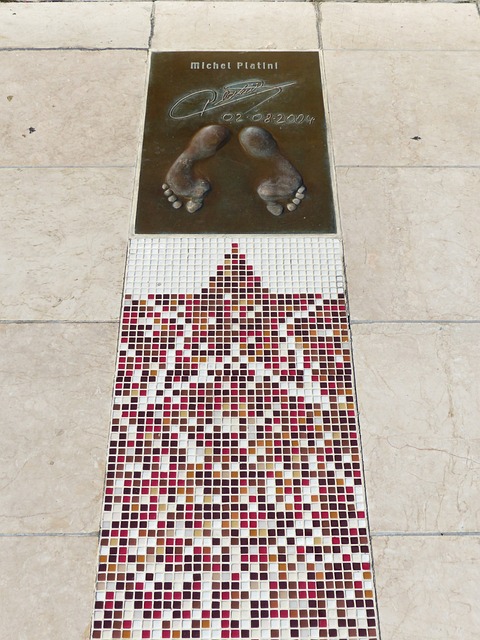 来的发展提 来的发展提