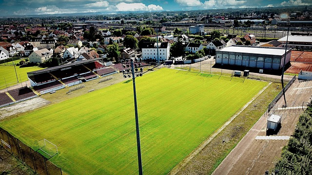 他们的表现 他们的表现