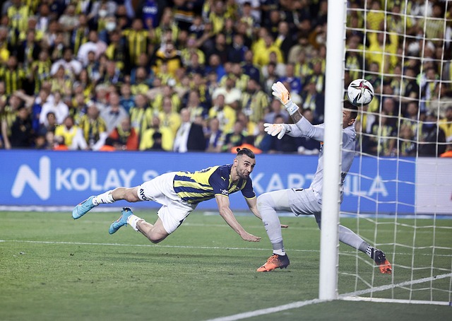 换帅真的解 换帅真的解