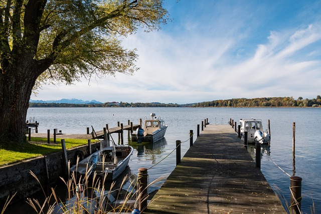 他在意甲的 他在意甲的